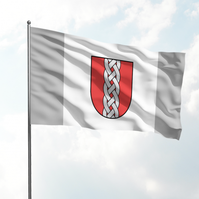 Ropažu novada karogs